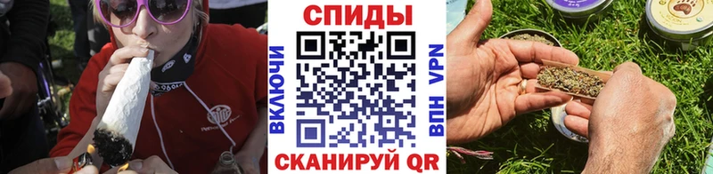 гидра   Данилов  БУТИРАТ вода 