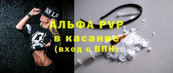 гашик Горняк