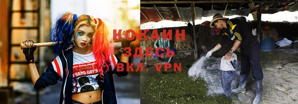 а пвп мука Гусев