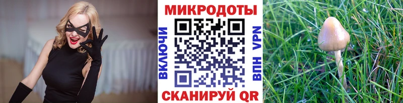 Псилоцибиновые грибы MAGIC MUSHROOMS  Данилов 